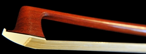 Guillaume Bow �o�C�I���� EXPO �⍕�h