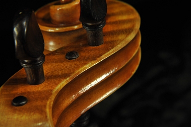 �W���o�b�^ �����b�V�[ �r�I�� �C�^���A �̔�