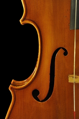 �W���o�b�^ �����b�V�[ �r�I�� �C�^���A �̔�