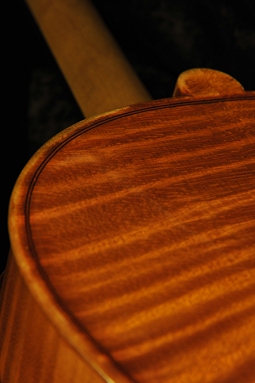 �W���o�b�^ �����b�V�[ �r�I�� �C�^���A �̔�