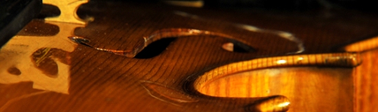 �W���o�b�^ �����b�V�[ �r�I�� �C�^���A �̔�