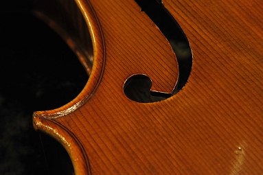 �W���o�b�^ �����b�V�[ �r�I�� �C�^���A �̔�