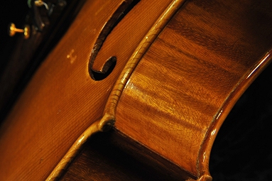 �W���o�b�^ �����b�V�[ �r�I�� �C�^���A �̔�