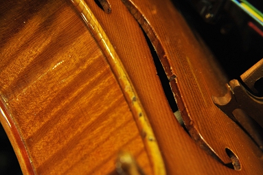 �����b�V�[ ���B�I�� �C�^���A �摜