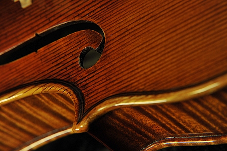 �R�j�A �o�C�I���� �N�����i �C�^���A