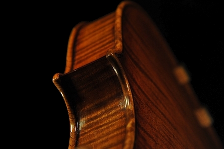 �R�j�A �o�C�I���� �N�����i �C�^���A