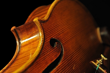 �R�j�A �o�C�I���� �N�����i �C�^���A