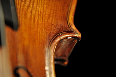 Carletti Gabriele  �o�C�I���� �{���[�j��