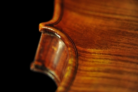 �J�����b�e�B �o�C�I���� �{���[�j��