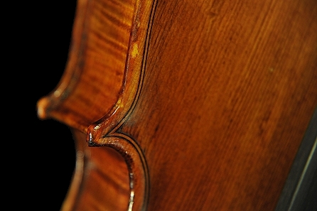 �J�����b�e�B �o�C�I���� �{���[�j��