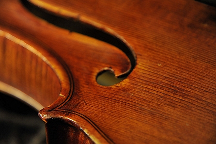 Carletti Gabriele  �o�C�I���� �{���[�j��