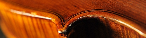 Carletti Gabriele  �o�C�I���� �{���[�j��