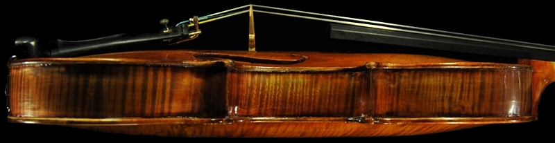 �J�����b�e�B �o�C�I���� �{���[�j��