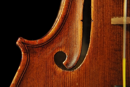 �J�����b�e�B �o�C�I���� �{���[�j��