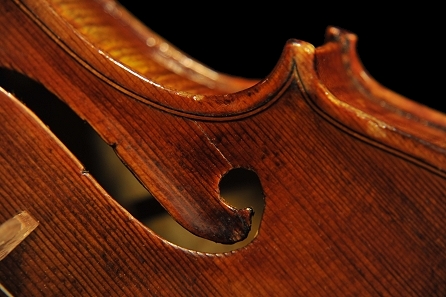 Carletti Gabriele  �o�C�I���� �{���[�j��