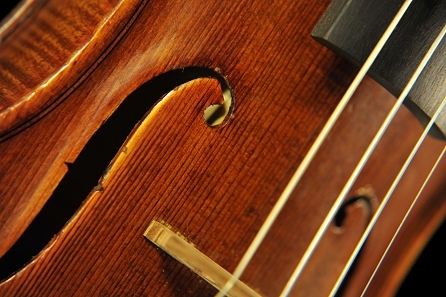 �J�����b�e�B �o�C�I���� �{���[�j��