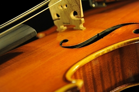 Daniele Canu Viola Italy MAGICO