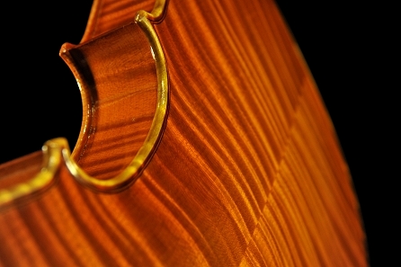 Daniele Canu Viola Italy MAGICO