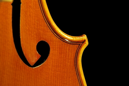 Daniele Canu Viola Italy MAGICO