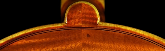 Daniele Canu Viola Italy MAGICO