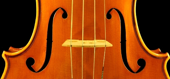 Daniele Canu Viola Italy MAGICO