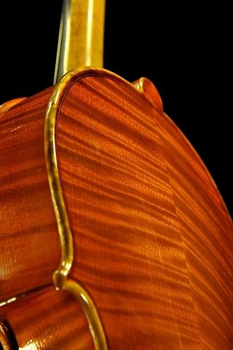 �J�k�[ �r�I�� �C�^���A �̔�