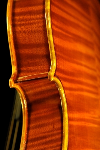 Daniele Canu Viola Italy MAGICO