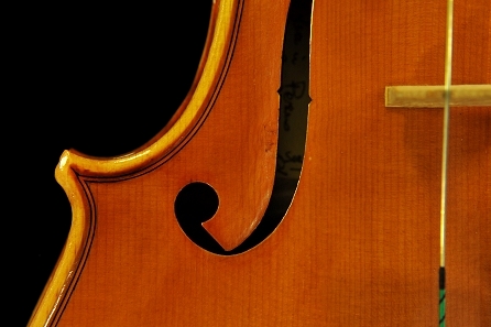 �J�k�[ �r�I�� �C�^���A �̔�