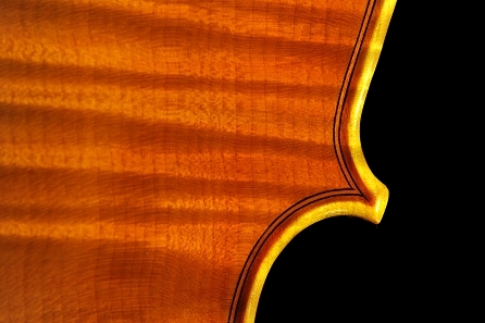 Daniele Canu Viola Italy MAGICO