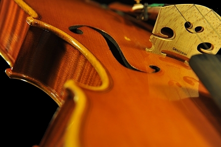 �J�k�[ �r�I�� �C�^���A �̔�