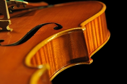 Daniele Canu Viola Italy MAGICO