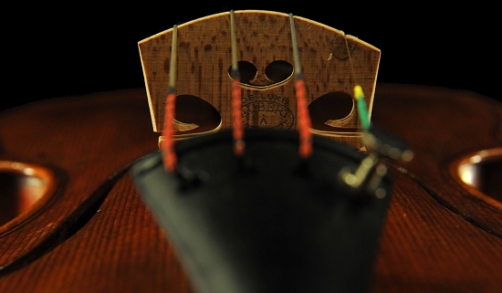 �G�h�K�[ ���X �N�����i �C�^���A �o�C�I����