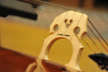 �X�e�t�@�m �R�j�A CONIA �`�F�� �C�^���A