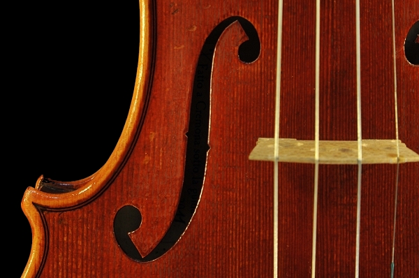 �s�G�[���W�����W�� ���@�C�I���� �C�^���A