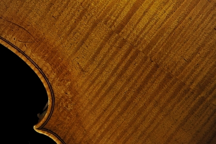 �N���b�c Mittenwald �o�C�I����