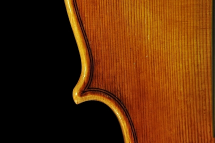 �`�[���@ manuele civa violin