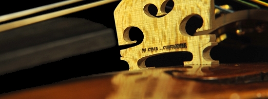 �`�[���@ manuele civa violin