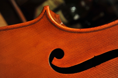 Nolli Marco Cello �N�����i �`�F�� �C�^���A