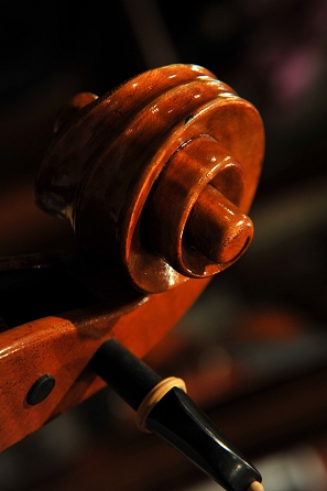 Nolli Marco Cello �N�����i �`�F�� ITALY