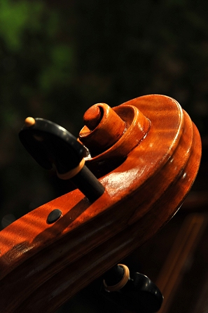 �m�b�� �}���R �����^�j���[�i �`�F��