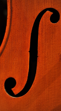 Nolli Marco Cello �N�����i �`�F�� ITALY