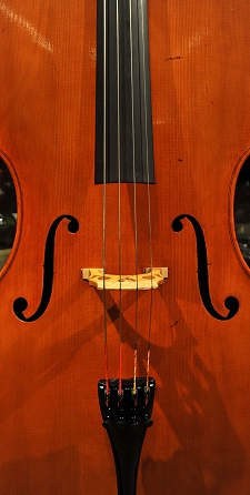 �m�b�� �}���R �����^�j���[�i �`�F��