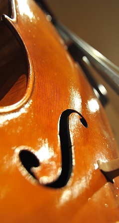 �m�b�� �}���R ���E�� �`�F��