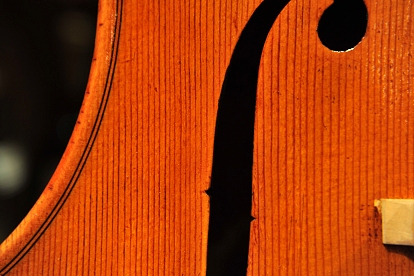 Nolli Marco Cello �N�����i �`�F�� �C�^���A