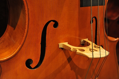 Nolli Marco Cello �N�����i �`�F�� �C�^���A