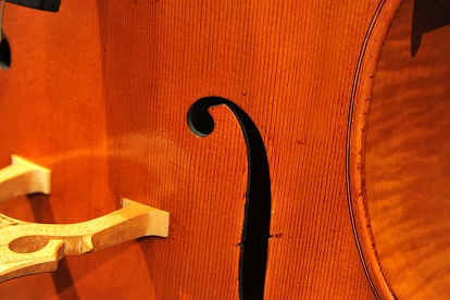 �m�b�� �}���R ���E�� �`�F��