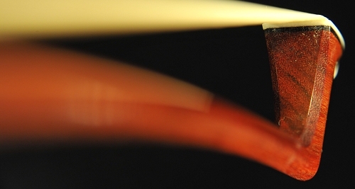 �M���[�� �| EXPO Silver ��