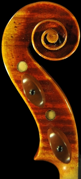 �G�h�K�[���X �N�����i �o�C�I����