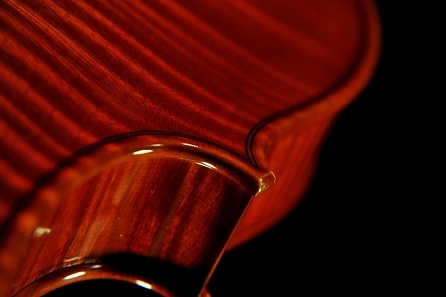 ���@�b�J�[�� vaccari �C�^���A �o�C�I����