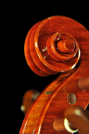 ���@�b�J�[�� vaccari �C�^���A �o�C�I����